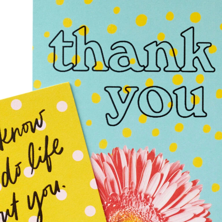 Hallmark Colorful Daisies Boxed Thank-You Notes, Pack Of 50 - Image 5