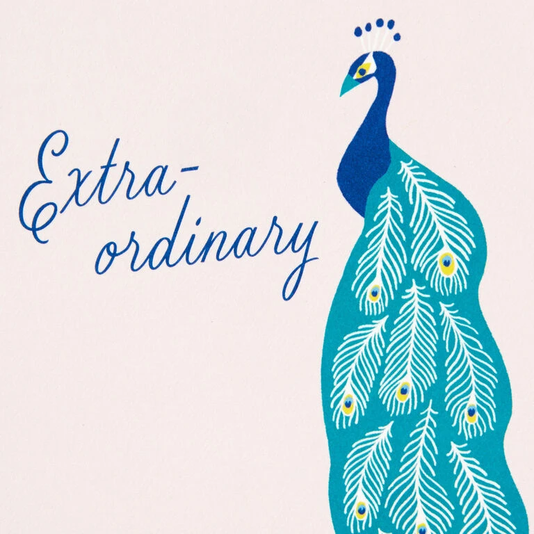 Hallmark Exotic Animals Assorted Blank Thank-You Notes, Pack Of 48 - Image 3