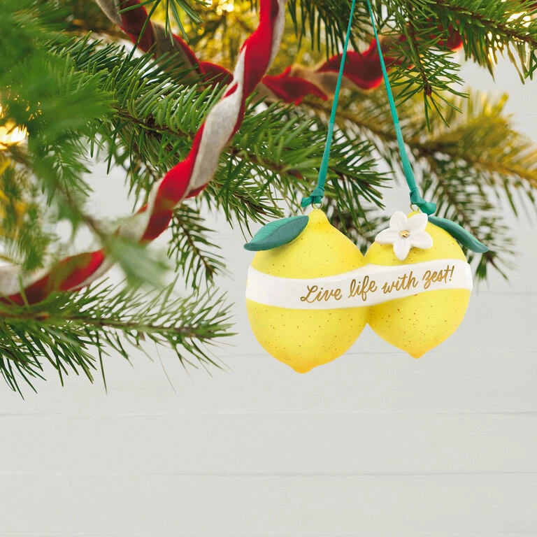 Hallmark Live Life With Zest! Porcelain Ornament - Image 2
