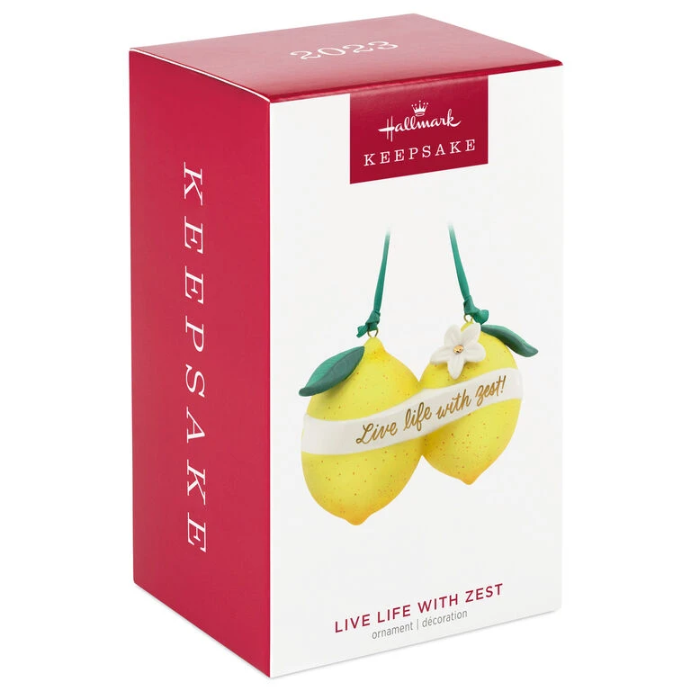 Hallmark Live Life With Zest! Porcelain Ornament - Image 4