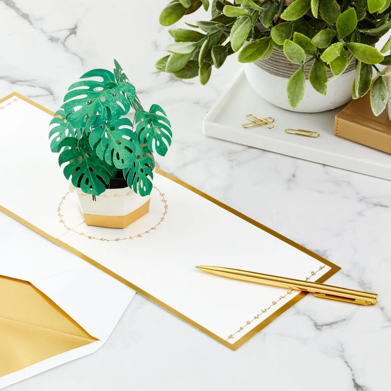 Hallmark Plant In Pot 3D Pop-Up Thinking Of You Card - Image 7